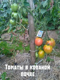 Уважаемые садоводы!