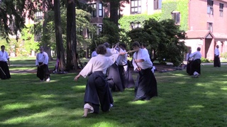 Birankai Aikido Summer Camp 2017 - D. Deskin, Jo/Bokken Weapons, Class 2