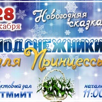 "Подснежники для принцессы"