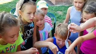Читающий дворик