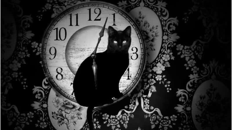 The Cat Lady Трагедия одной кошатницы Стрим,