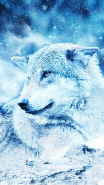 Полина Кропочева, Россия, Уфа