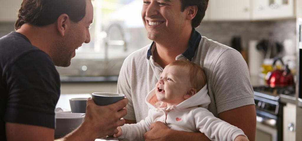 Gay adoption in france
