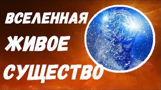 Вселенная живое существо