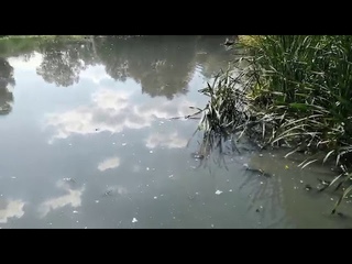 Люди! Что вы делаете?