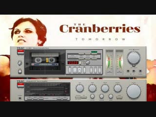 CRANBERRIES