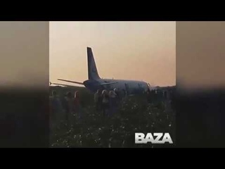 Летевший в Крым самолет сел в поле из-за попавшей в двигатель птицы