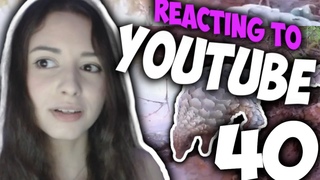 OMG WHAT WAS THAT?!? | YouTube Reactions #40
