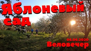 Яблоневый сад в субботу вечером
