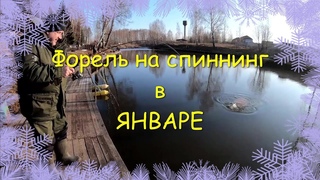 Уловистая БЛЕСНА для форели, Поймал БОНУС, рыбалка на спиннинг