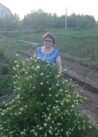 Ирина Ильина