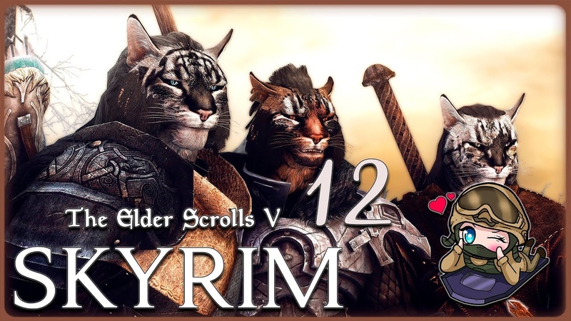 The Elder Scrolls V: Skyrim СОРАТНИК,