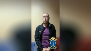 Серийные воры дают показания в Ульяновске