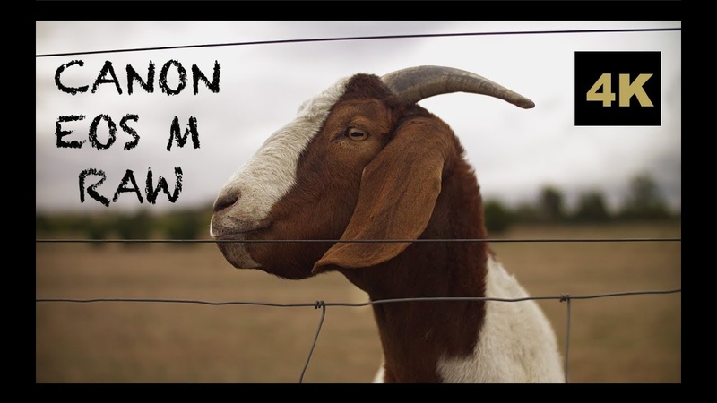 Canon EOS M Raw Film, Samyang Portraits, Upscaled 4 K Magic Lantern