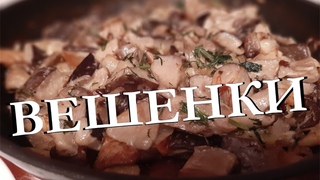 Вешенки в сметане. Проще простого.