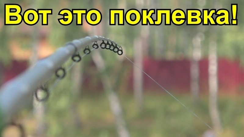 БЕШЕНЫЙ КАРАСЬ ЧУТЬ ФИДЕР НЕ УТАЩИЛ Ловля карася на фидер и