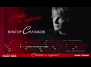 Виктор Салтыков Магазин Игрушек