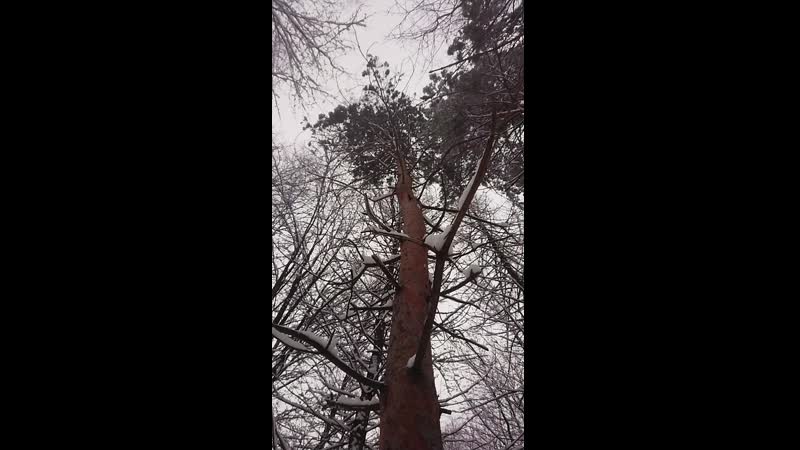 MOV_HFR_120F_20200112123117_000.mp4