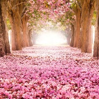 Анастасия Хижняк | Магнитогорск