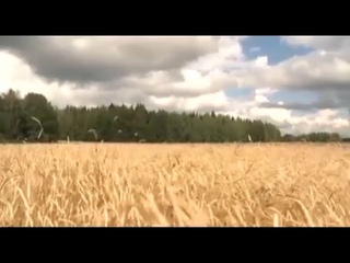 Государственный оркестр народных инструментов МАРИЙ КУНДЕМ и Андрей СИНАЕВ #ИГРАЕМДОМА
