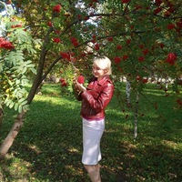 Дарья Архипова