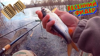 Весенний ФИДЕР🎣 ловля ПЛОТВЫ на фидер ВЕСНОЙ!