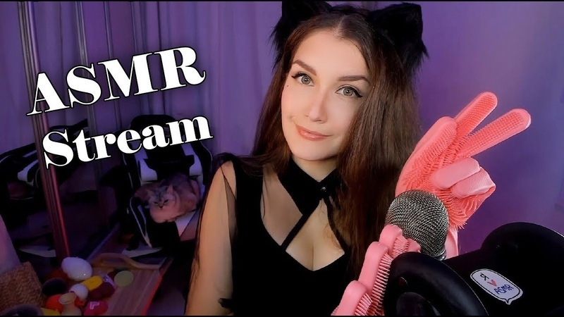 АСМР Стрим Kitty Klaw запись от ASMR Stream