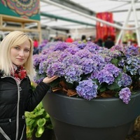 Ольга Зиневич | Минск