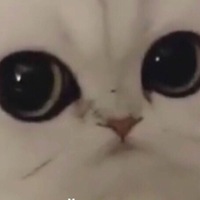 Ксюша Фролова