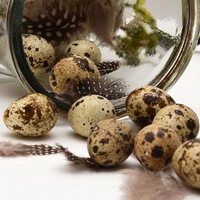 Михаил Перепёлкин | Витебск