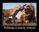 №37 Татьяна Григорьева 11.07.1974: профиль, фото, статус - ВКонтакте