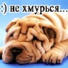 Аватар: Павучка Курцеба