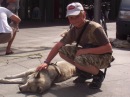 №2 Андрей Аркадьев