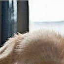 №17, Ира Драган, Одесса №17, Ира Драган, Одесса