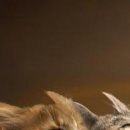 №178, Михаил Войтик, 28 лет, Минск №178, Михаил Войтик, 28 лет, Минск