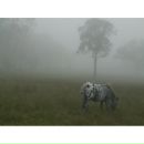 №3, Катя Ядрова, Москва, Россия №3, Катя Ядрова, Москва, Россия