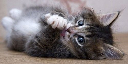 №53, Нюша Бражникова, Москва №53, Нюша Бражникова, Москва