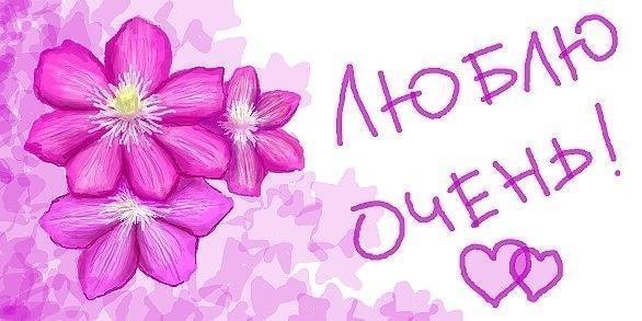 Виктория Большакова | Череповец