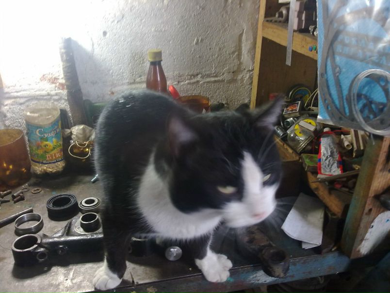 №79, Олег Омельченко, Мелитополь №79, Олег Омельченко, Мелитополь