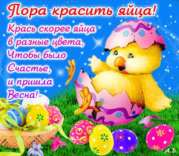 Светлана Власова | Санкт-Петербург