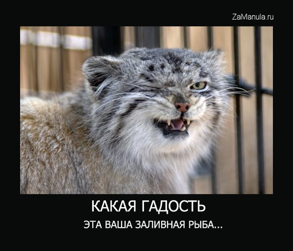 Максим Лазука | Светлодарск