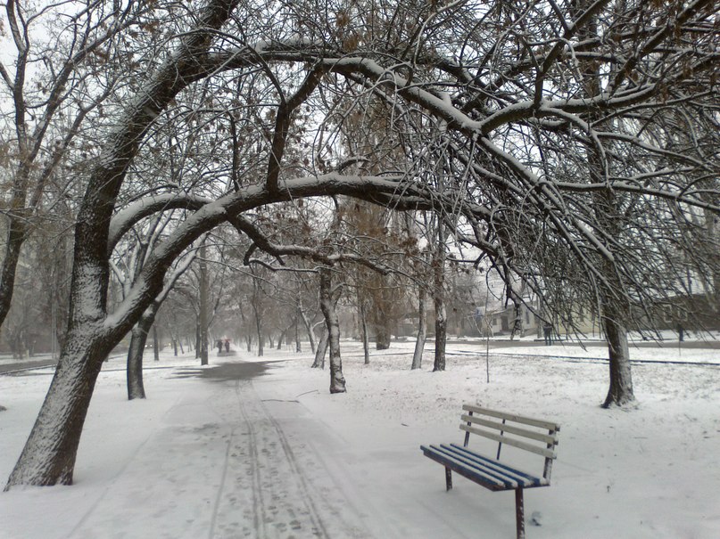 Анна Селезнёва | Николаев