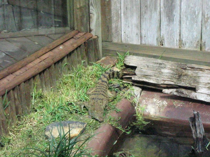 Владимир Польшаков | Одесса