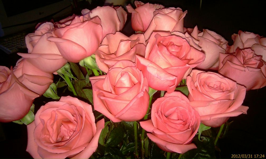 №137, Дмитрий Белый, Санкт-Петербург №137, Дмитрий Белый, Санкт-Петербург