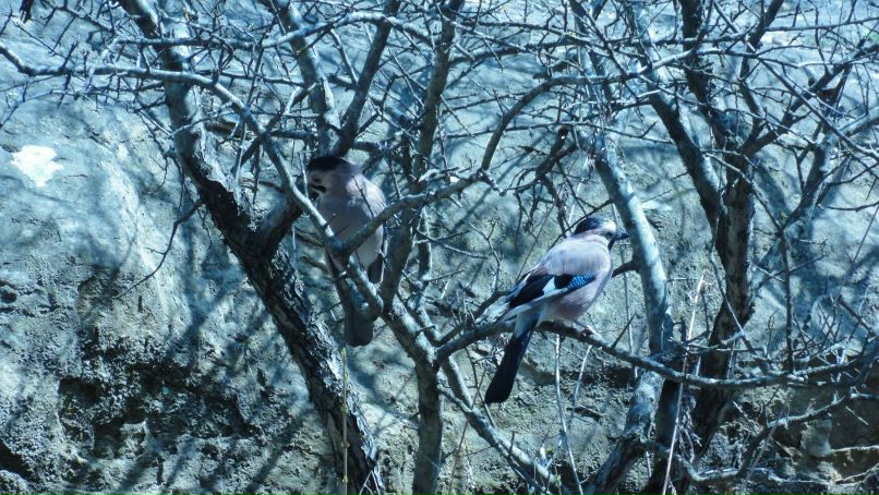 Виктория Боровик | Ростов-на-Дону