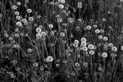 Андрей Летенков | Санкт-Петербург