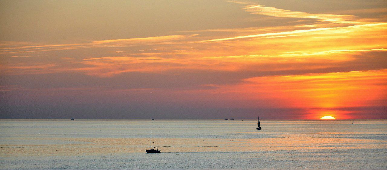 Дмитрий Костин | Le Havre