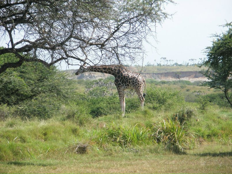 Роман Размочаев | Мариуполь