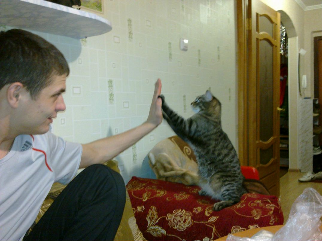 Александр Альчиков | Муравленко