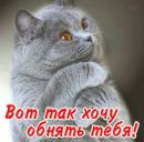 №28 Надежда Косицына 21.07.1999: профиль, фото, статус - ВКонтакте